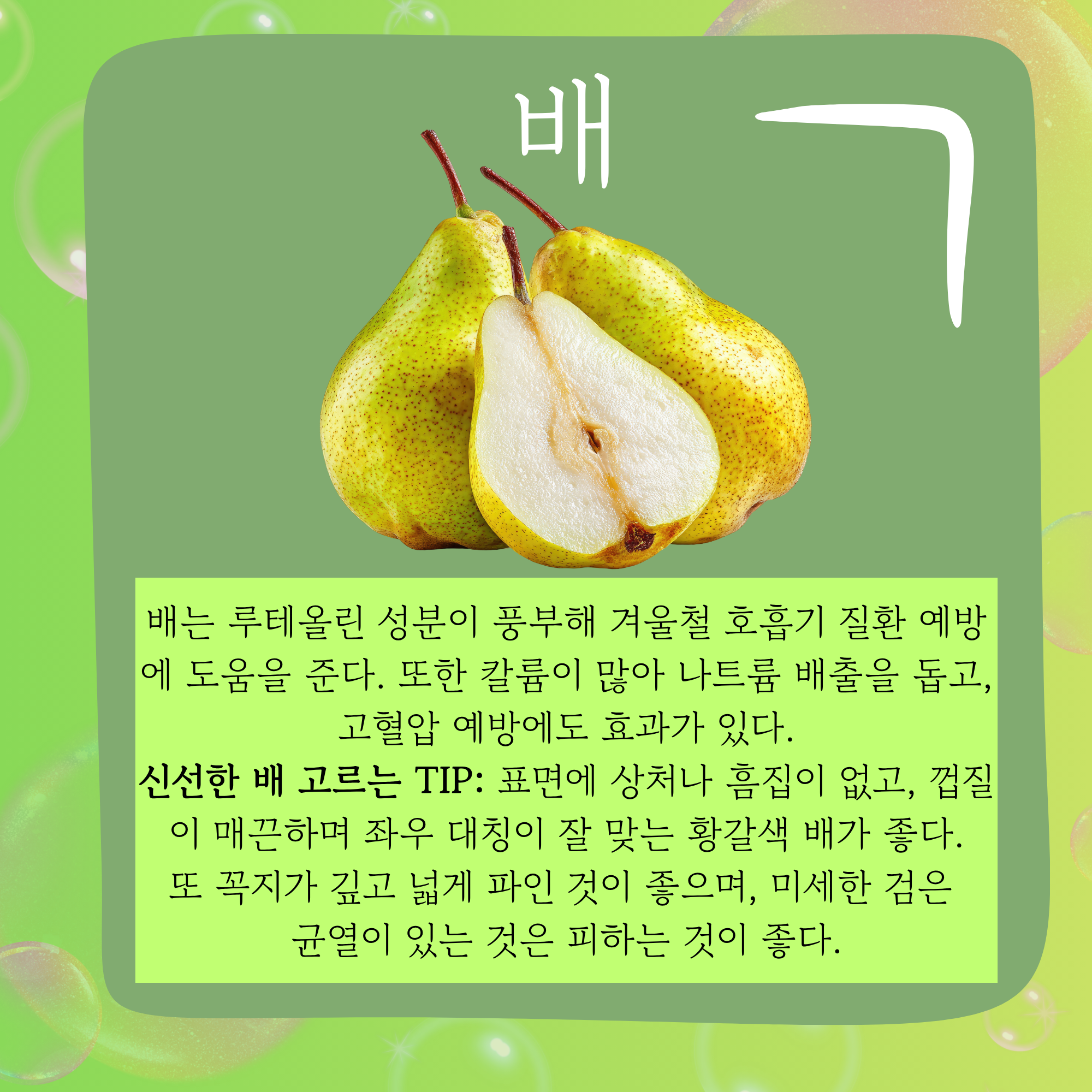 신선한 과일 고르는 방법! - 7.png