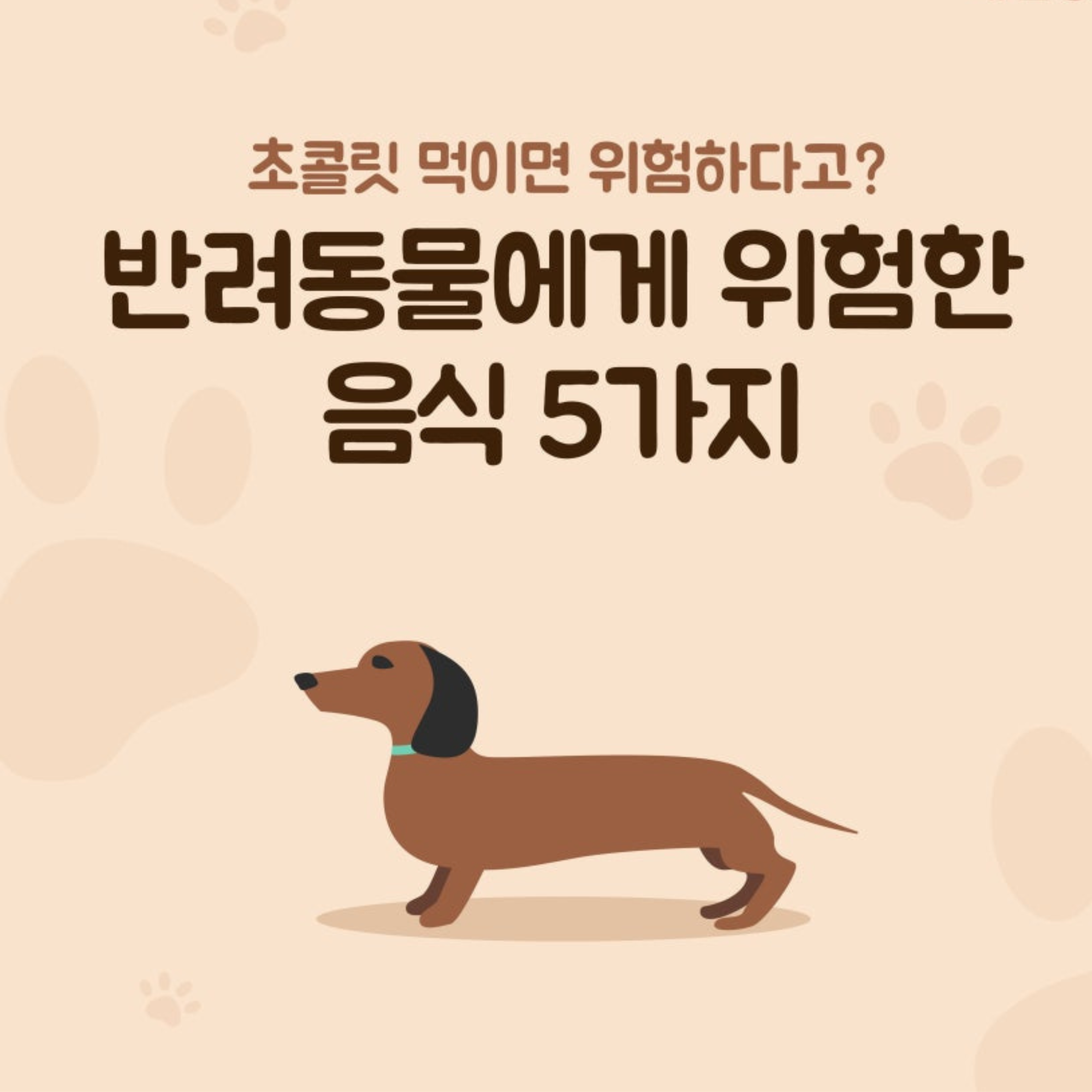 KakaoTalk_20260415_102544357.png