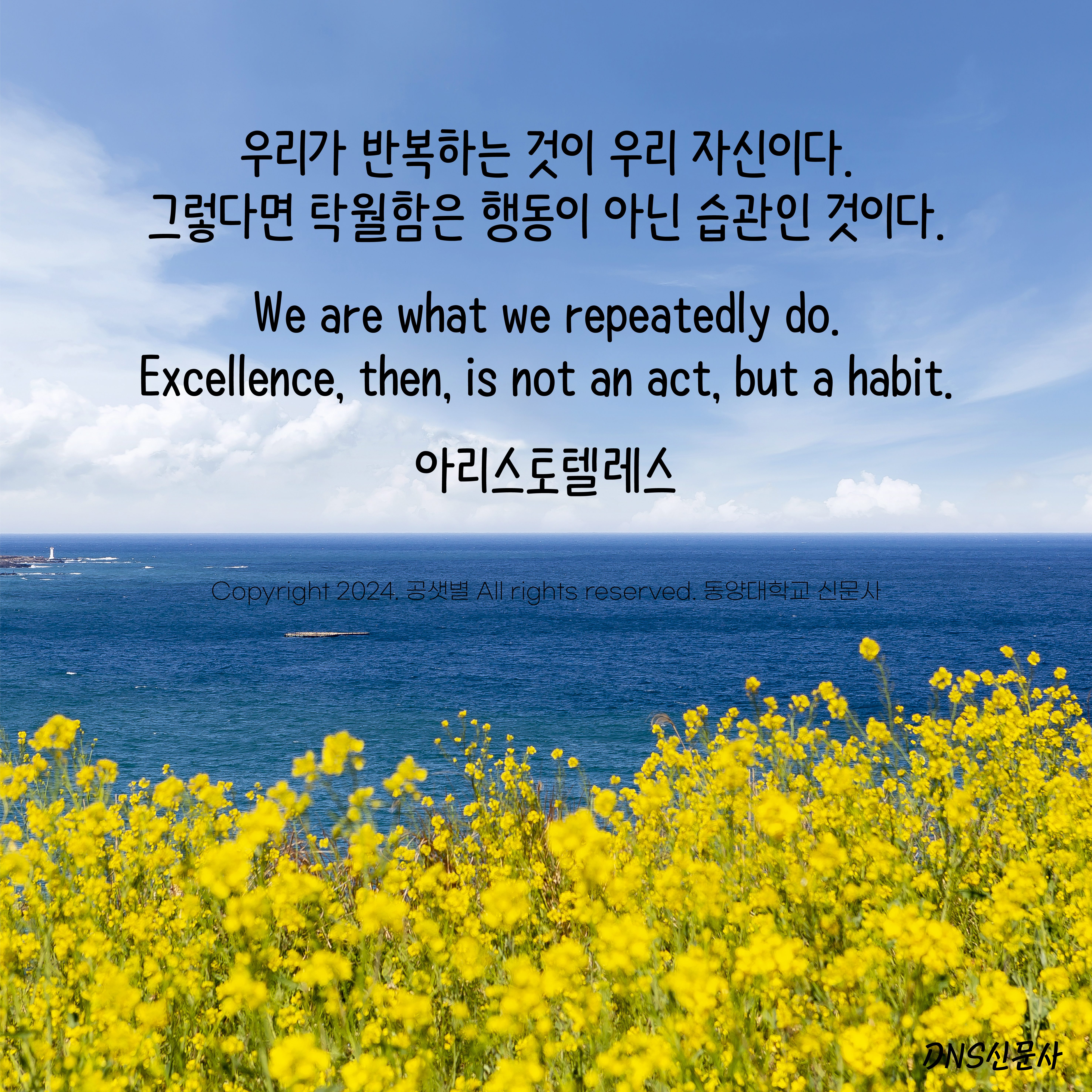 아트보드 1 사본 3.jpg