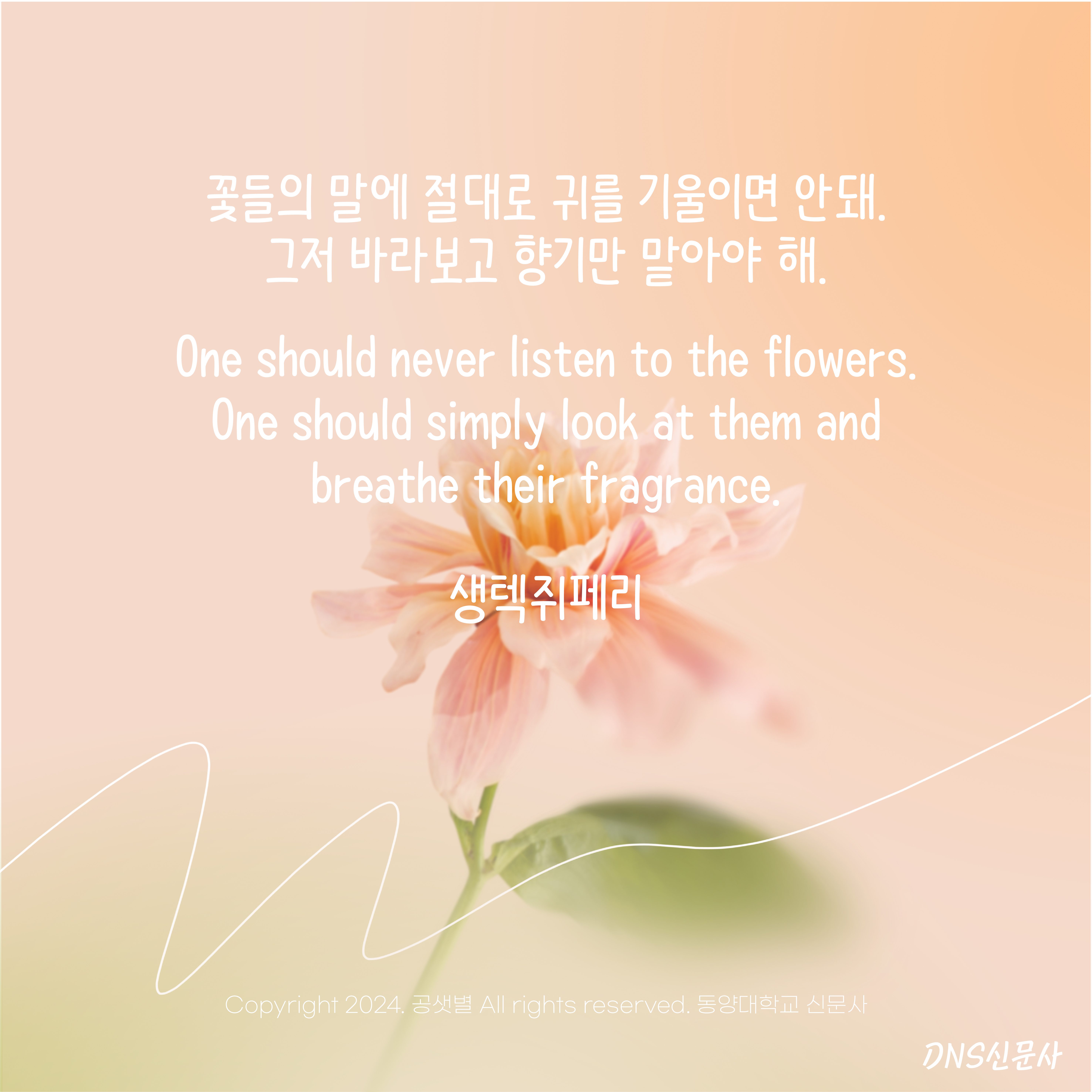 아트보드 1 사본 14.jpg