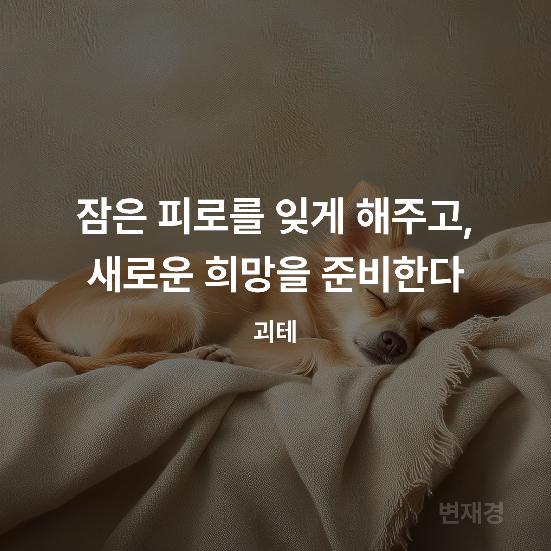 제목을 입력해주세요. (1).png