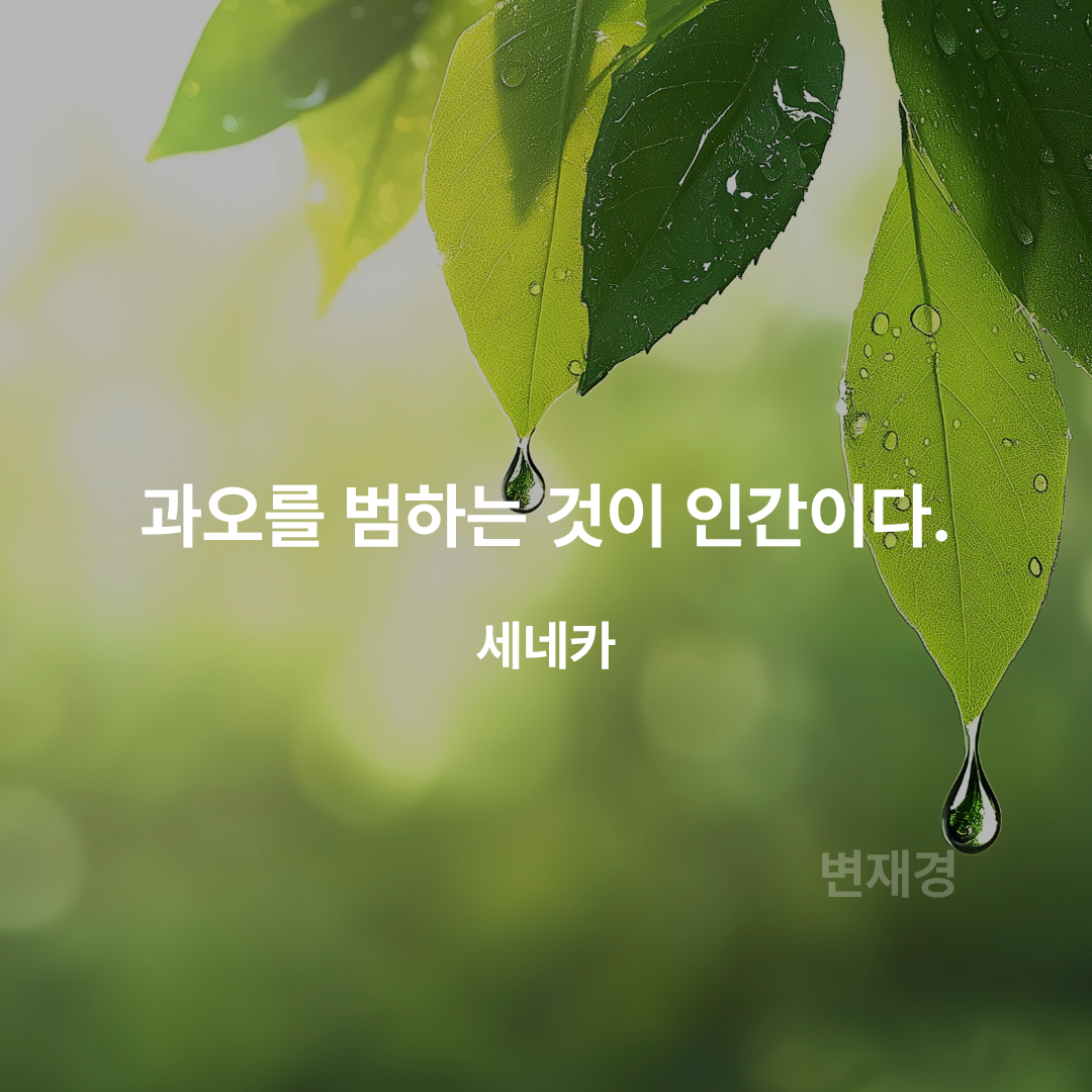 제목을 입력해주세요. (11).png