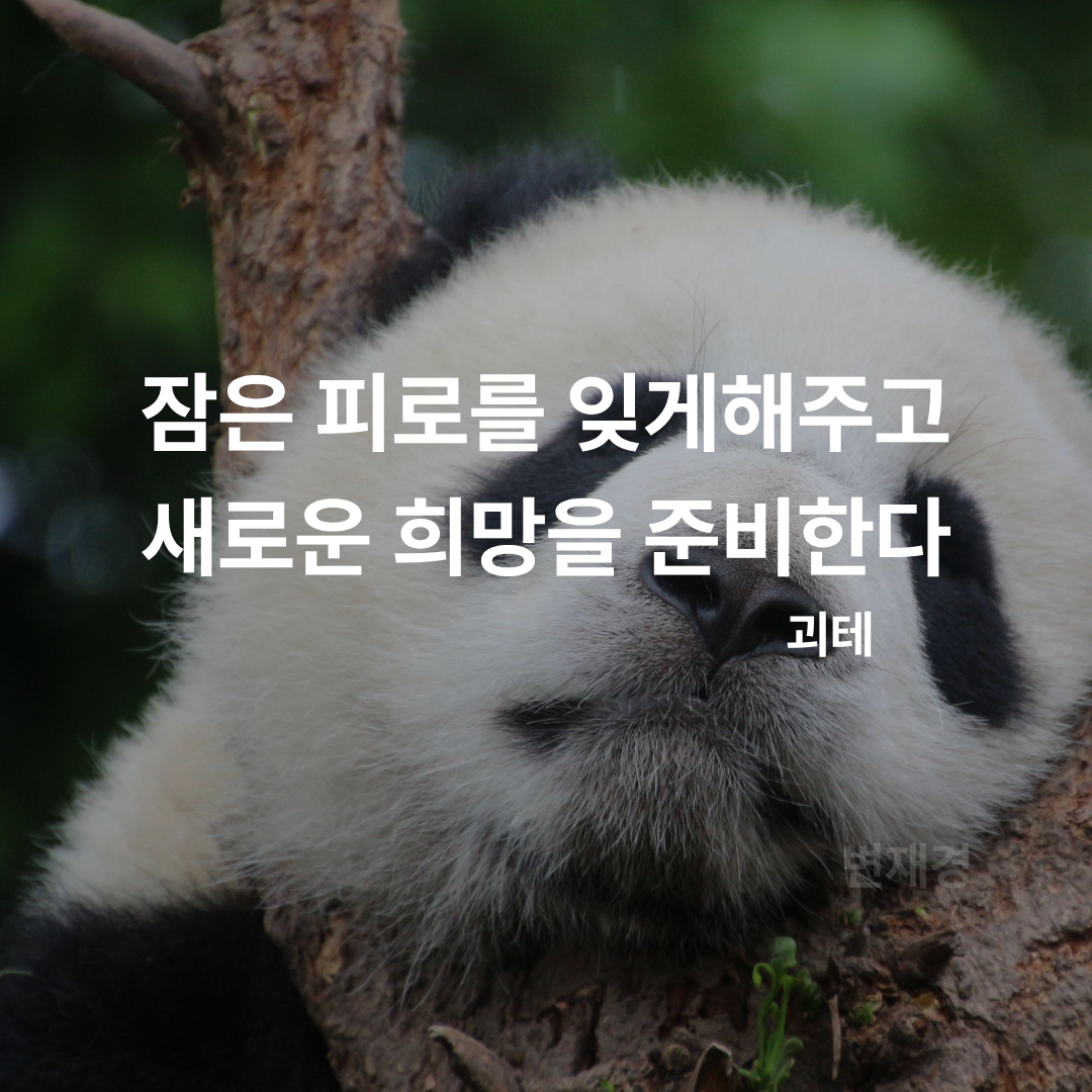 제목을 입력해주세요. (5).png